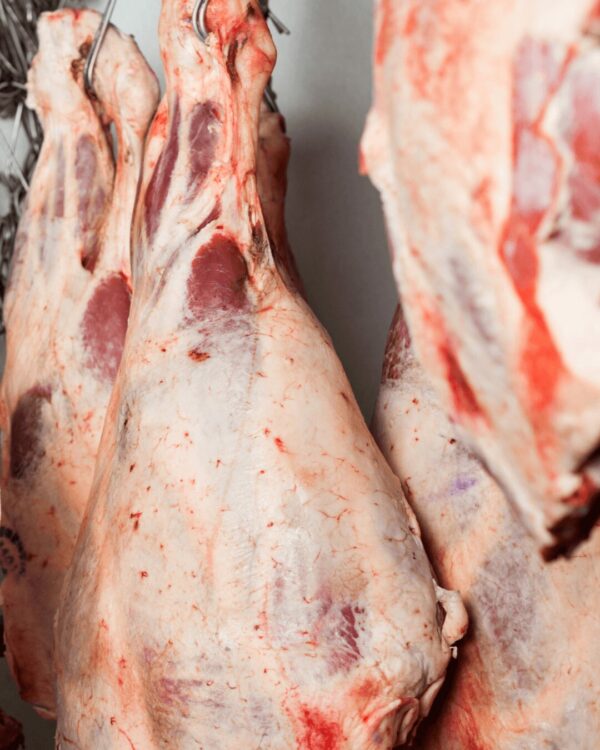 Whole beef carcass cut hung prepared for market