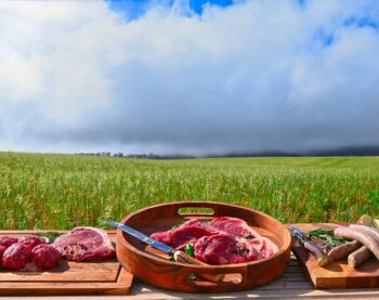 Beef produce displayed in front of farm landscape