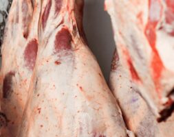 Whole beef carcass cut hung prepared for market